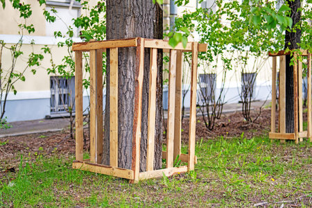Wooden barriers encircle trees for protection during nearby constructionの写真素材