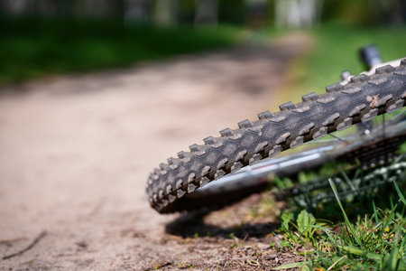 Bicycle wheel with a muddy tire lying on a forest path