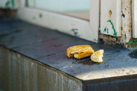half-eaten pastry and a piece of bread resting on a dirty ledge, evoking themes of indulgence, neglect, and the fleeting nature of satisfaction amidst decayの写真素材
