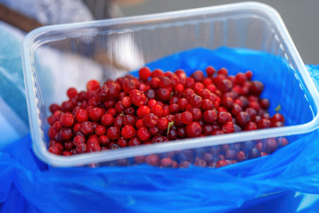 vibrant red cranberry nestled in a clear container, symbolizing nature's bounty. Its glossy surface...
