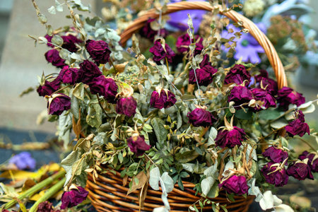 basket of wilted burgundy roses rests on the pavement, symbolizing faded beauty and lost moments. The outdoor setting evokes reflection on nature's transience and the passage of timeの写真素材
