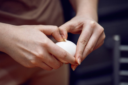 womans hands skillfully crack a chicken egg shell with effort, preparing for cooking. The focus is...