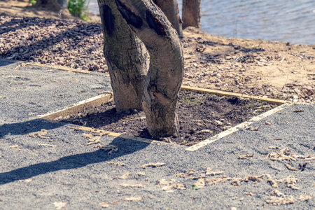 A designated square space on a platform reserved for a growing tree, showcasing urban greening or...