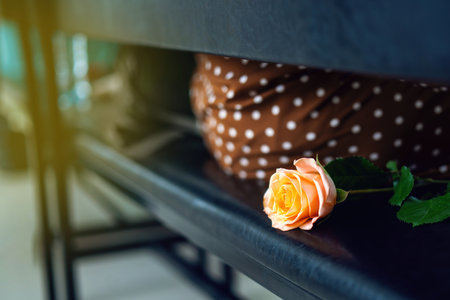 A single rose rests on a theater seat beside a person, evoking romance and elegance in a cultural settingの写真素材