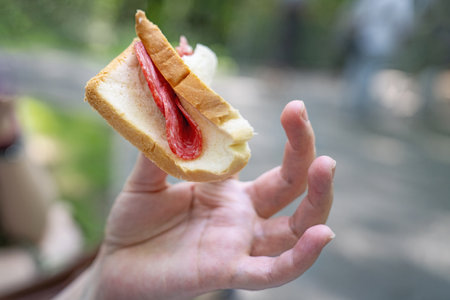 Hand holding a folded square of toasted white bread filled with slices of dry-cured smoked sausage, ready toの写真素材