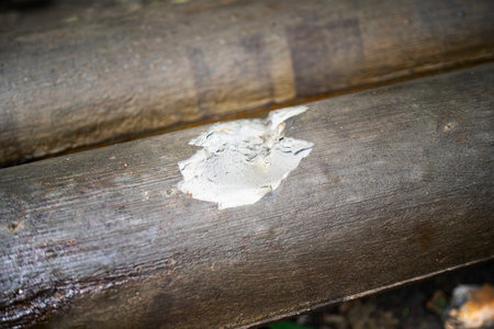 A section of concrete-insulated metal heating pipe with a broken piece of casing.