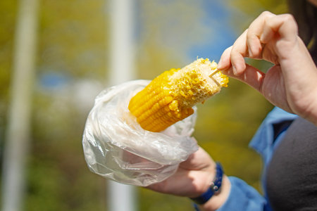 Female hands holding a partially eaten ear of boiled corn with salt.
