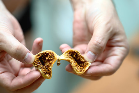 Male hands breaking a dried fig in half to reveal the ripe seeds inside.の写真素材