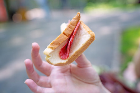 Teen's hand in park holding toast bread wrapped around smoked sausage, quick snack during long walk. Perfect for lifestyle content.の写真素材