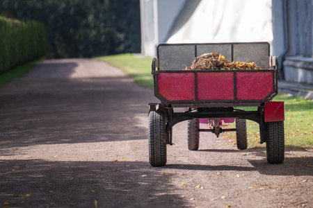 Mini tractor loaded with fallen leaves on a rustic country road during autumn.