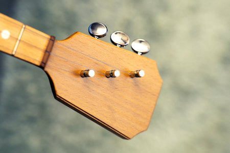 Wooden balalaika neck with three tuning pegs and attached metal strings.の写真素材