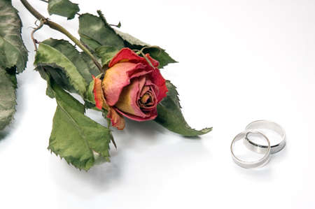 Two wedding rings and dry rose on white backgroundの写真素材