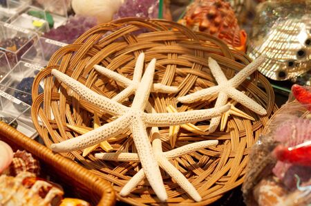 The dried up starfish in a square-braid basketの写真素材