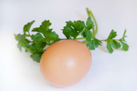dietetic chicken egg against the white backgroundの写真素材