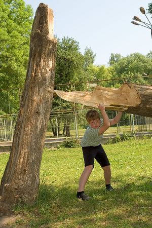 A little boy tries to lift a tree tumbled down by a thunder-stormの写真素材
