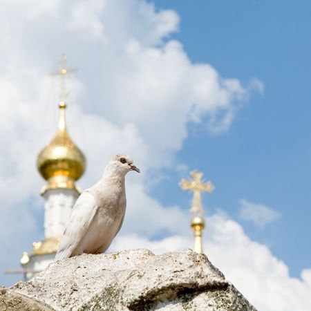 White pigeon with church domes and blue sky at backgroundの写真素材