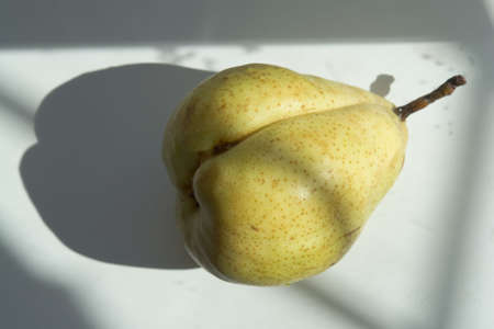 A single pear. Daylight from a window.の写真素材