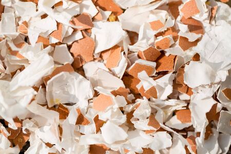 broken eggshell background