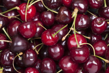 Close-up of sweet cherry.