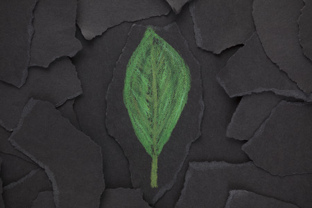 One last green leaf in our world.の写真素材