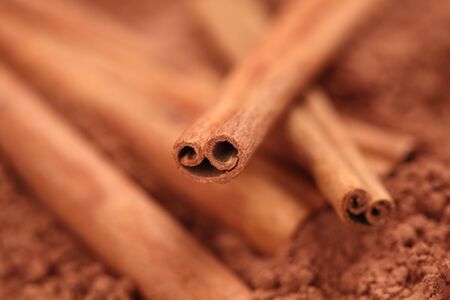 Cinnamon sticks on cocoa powder. Selective focus. Close-up.の写真素材