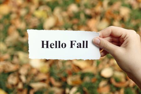 Torn piece of paper with the words saying "Hello Fall" in the woman's hands against autumn background (yellow fallen leaves).の写真素材