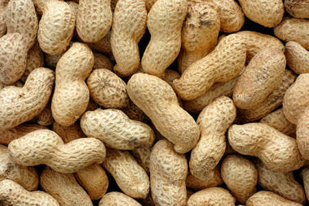 Peanuts in shell.