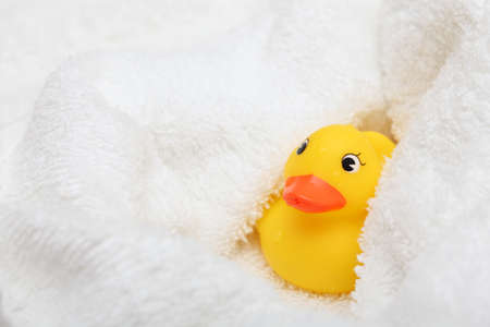 Rubber Duck after bath wrapped in a white soft towel. Close-up.の写真素材
