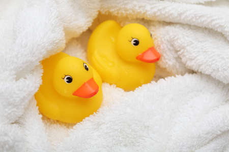 Rubber Ducks after bath wrapped in a white soft towel. Close-up.の写真素材