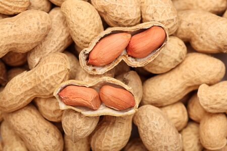 Two open peanuts on a penaut background. Close-up.