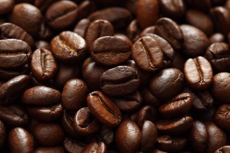 Coffee Beans close-up. XXXL.