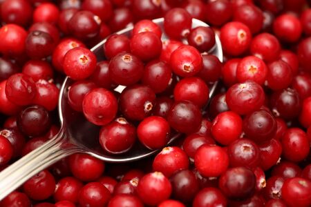 Cranberry on spoon over cranberry backgroundの写真素材