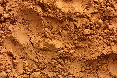 Cocoa powder background. Raw organic product.