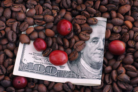 Roasted and raw red coffee beans on one hundred dollar bill. Price of coffee concept. Close up.の写真素材