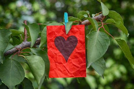 Red paper note with heart shape hanging on a tree. Love concept. Close up.の写真素材