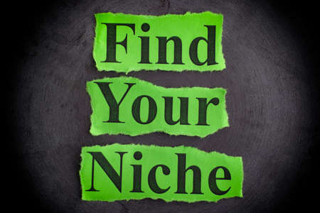 Torn pieces of paper with the phrase Find Your Niche. Concept image.