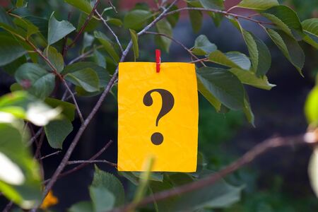 Question mark hanging on a tree. Close up. Concept image.の写真素材