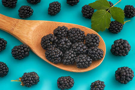 Freshly harvested blackberries in a wooden spoon. Close up.の写真素材