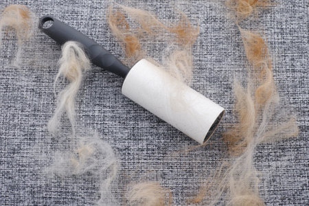 A lint roller with animal fur and fluff on it. Close up.の写真素材