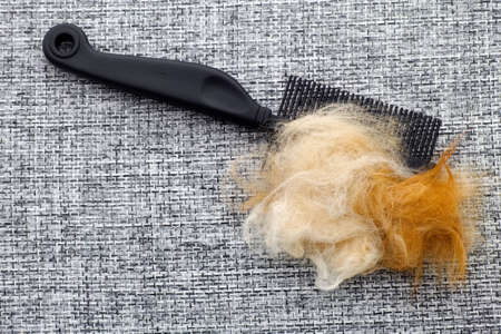 A comb with cat fur on it. Close up.