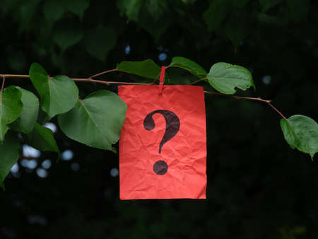 A red paper note with a question mark on it hanging of a tree branch with a clothespin. Close up.の写真素材