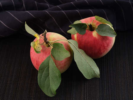 Two ripe red apples with leaves. Low key. Close up.