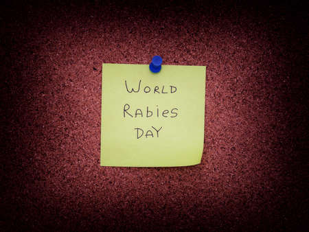 A sticky note with the words World Rabies Day on it pinned to a cork board. Close up.
