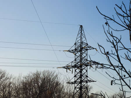 A transmission tower standing in a forest. Clear blue sky background.