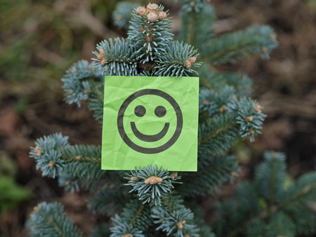 A green paper note with a happy face on it being held up by a fir tree branch. Close up.の写真素材
