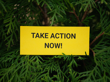 A yellow paper note with the phrase Take Action Now! on it hanging on a arborvitae tree. Close up.の写真素材