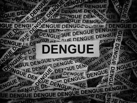 Strips of newspaper with the word Dengue typed on them. Black and white. Close up.の写真素材