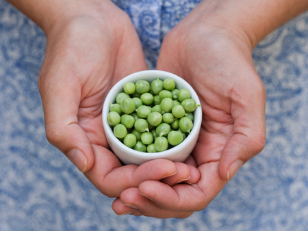 A woman holding freshly harvested green peas in a bowl in her hands. Close up.の写真素材