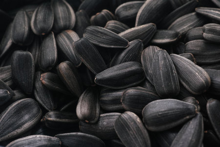 A macro shot of sunflower seeds. Close up.の写真素材