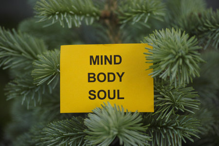 A yellow paper note with the words Mind, Body, Soul on it being held up by a fir tree branch. Close up.の写真素材